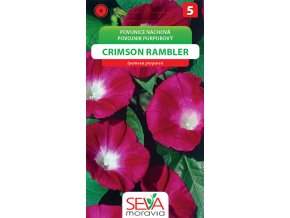 Povíjnice nachová - Crimson Rambler