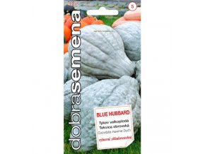 BLUE HUBBARD 7 ks Tykev