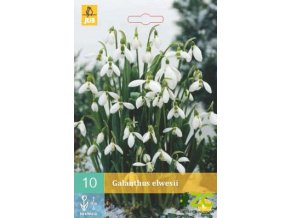 dbc57ffb 7bcc 48c9 9e30 b907489e14c4