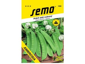 9b93cfd6 3c8e 484a a4b0 5c974f15dd12