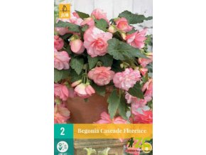 5b17de91 b430 4daf be11 d3fcaadfd0a3