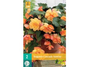 2c598b2c 5fed 491a a6c7 5ba59ef50c81