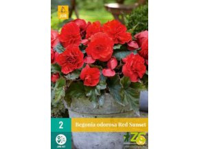 bd275f7d 31a1 4233 ab5e 3b52d6a2733c