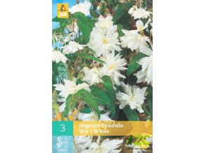 3501e8d5 e099 4b43 825e 2855899659cb