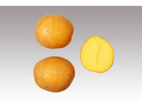 sadbove-brambory-katy-5-kg