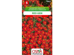 aksamitnik jemnolisty red gem 0 2 g