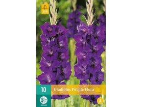 karta mecik purple flora 10 cibuli