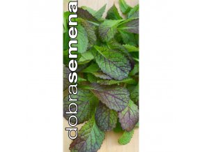 red giant mustard listova horcice 2 g