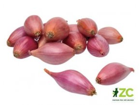 sazecka cibule rosanna ruzova