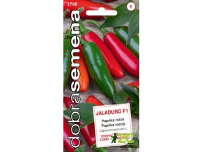 Dobrá semena Paprika zel. Jaladuro F1, jalapeno 10s