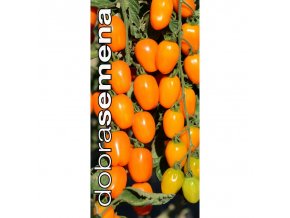 rajce tyckove appleberry orange f1 6 s