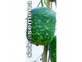 lagenarie speckled apple 10 s