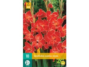 karta mecik atom 10 cibuli