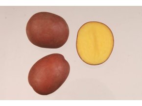 sadbove brambory red anna