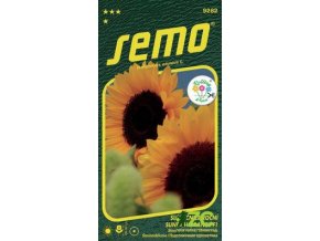 slunecnice-rocni-sunrich-orange-f1-15s-serie-kvetiny-k-rezu