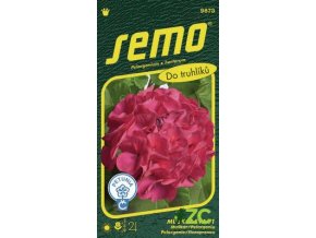 pelargonie paskata eva f1 11 s