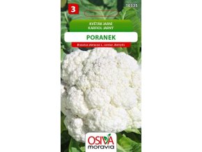 KVĚTÁK PORANEK - jarní středněraný 0,4 g
