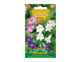 ASARINA PNOUCÍ - směs 20 ks