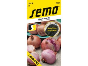 cibule-salotka-charlotka-f1-cervena--150-s