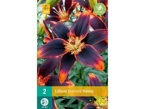 karta-lilie-forever-susan--2-cibule-