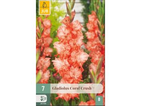 karta-mecik-coral-crush--7-cibuli-