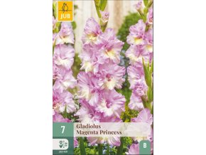 karta-mecik-magenta-princess--7-cibuli-