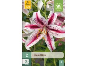 karta-lilie-dizzy--2-cibule-