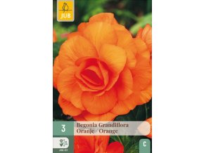 Snímek obrazovky 2026 02 04 171710