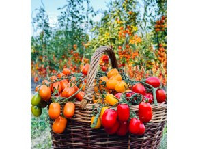 rajce-tyckove-vejce-ptaka-ohnivaka-20s