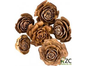 Dekorace - přízdoba - Cedar rose