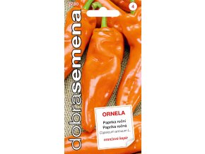 PAPRIKA ORNELA - roční oranžová 0.5 g