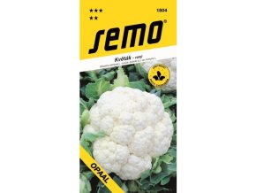 kvetak-opaal-jarni-rany-25-s