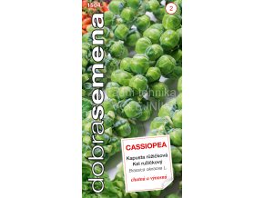 KAPUSTA CASSIOPEA - RŮŽIČKOVÁ 0.7 g
