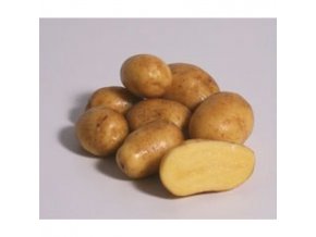 sadbove brambory ditta 25 kg