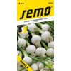 Cibule jarní - Ranila bílá svazková 1,5g