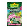 008334 FLORIA Vlhčený ubrousek na listy orchidejí a pokojových rostlin 8594005009059 400x440