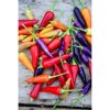 paprika bolivian rainbow rocni chilli 10 s2