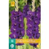 karta mecik purple flora 10 cibuli