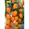 rajce tyckove appleberry orange f1 6 s 2