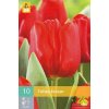 Karta Tulipán Escape (10 cibulí)
