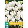Karta Krokus Jeanne Darc (10 cibulí)