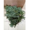 Chvojí svazek 5 kg jedle Nobilis