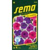 petunie-mistral-picotee-f1-velkokveta-50-p