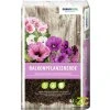 substrat gramoflor pelargonie 45l