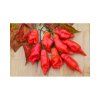 PAPRIKA AJI ROJO - chilli 10 s