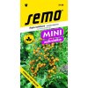RAJČE KEŘÍČKOVÉ - TUMBLING TOM YELLOW 10 s