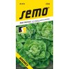 SALÁT BREMEX - celoroční salát 0.6 g