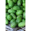 OKURKA MOUSE MELON - mexická 15 s