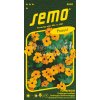 TUNBERGIE - Černooká Zuzana, oranžová s okem 1 g