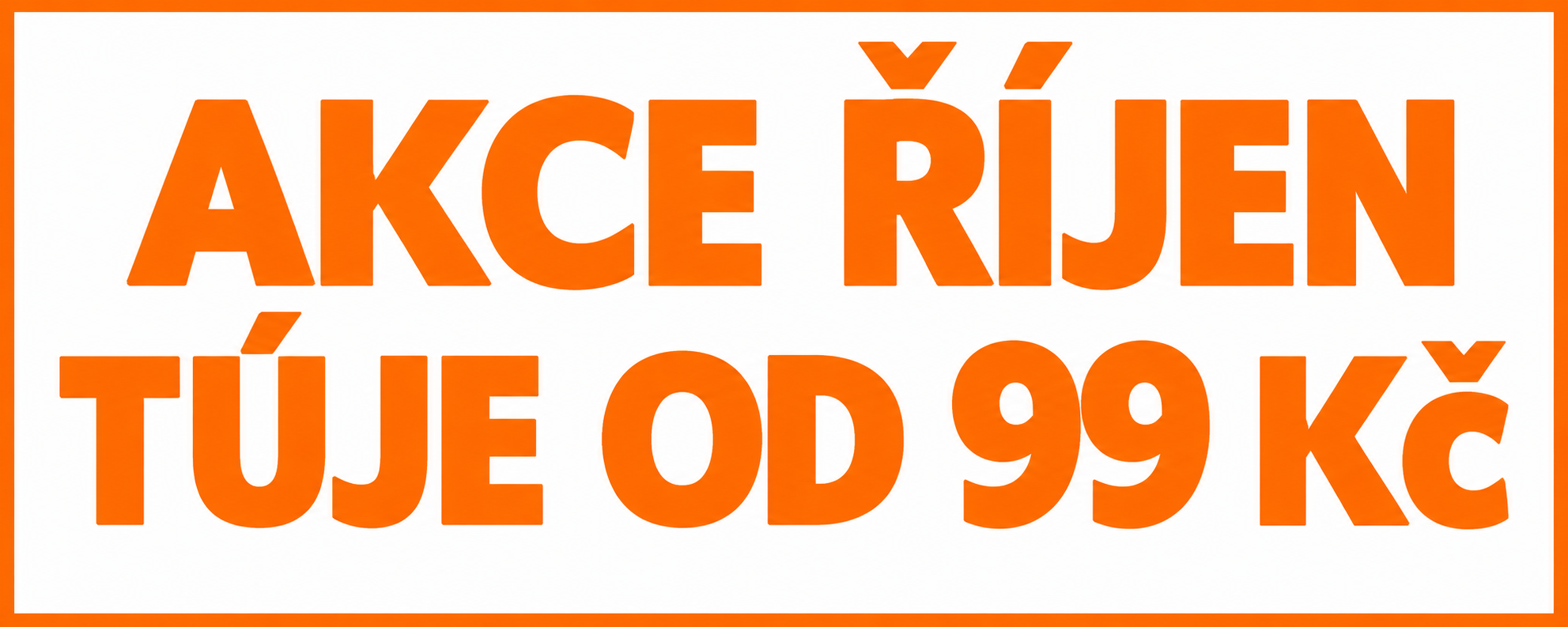 thuje jsou v říjnu v akci za cenu od 99 Kč